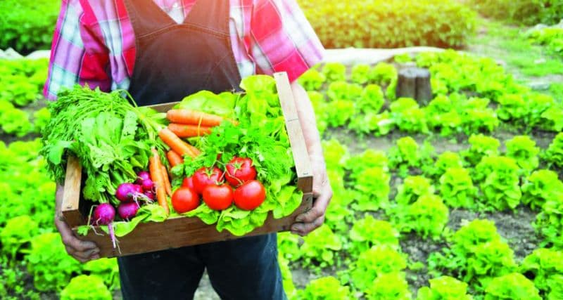 Ekoloji təmiz məhsul istehsalı üzrə yeni dövlət standartı qəbul edilib