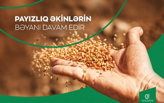 Payızlıq əkinlərin bəyanı davam edir