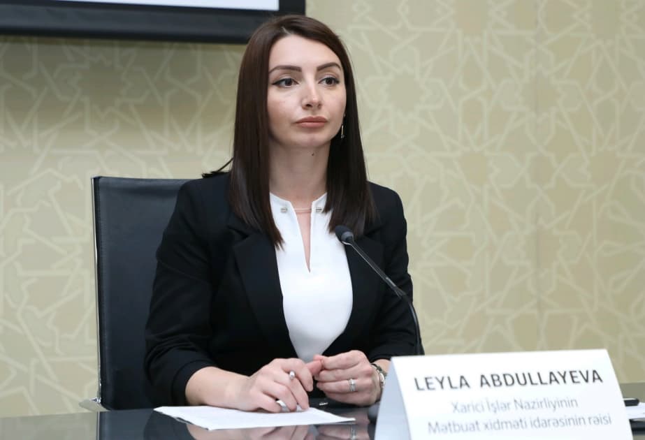 Leyla Abdullayeva Azərbaycanın Fransadakı səfiri vəzifəsinə təyin edilib