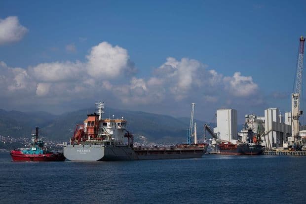 Taxıl dəhlizi: 408 gəmi ilə 9,2 milyon ton ərzaq daşınıb