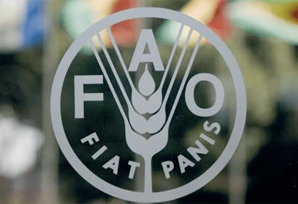 FAO tezliklə Azərbaycanda tərəfdaşlıq proqramının yeni mərhələsini elan edəcək