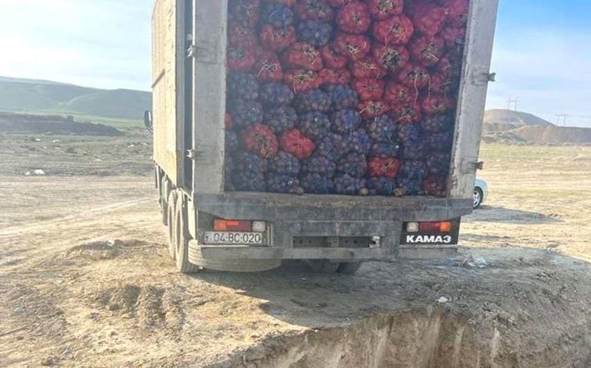 Rusiyadan idxal edilən kartofda karantin tətbiq edilən orqanizm aşkarlanıb