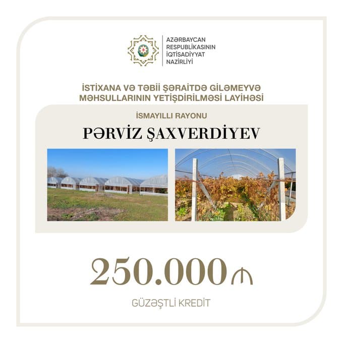 Mikayıl Cabbarov: Sahibkar Pərviz Şaxverdiyevə 250 min güzəştli kredit verilib