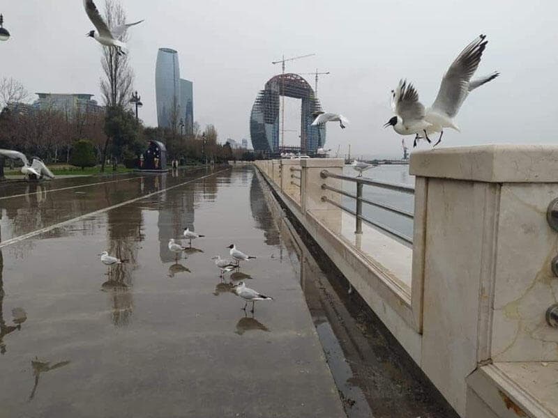 Yağış, şaxta, buz - İstirahət gününün HAVA PROQNOZU