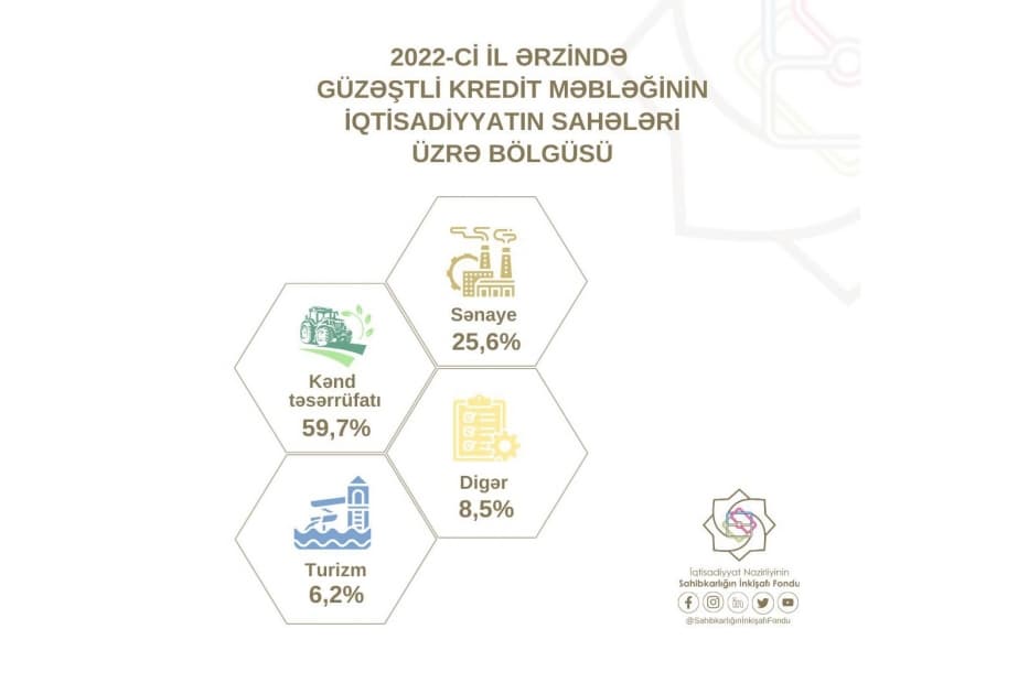Ötən il sahibkarların 2726 layihəsinə 146 milyon manat güzəştli kredit ayrılıb