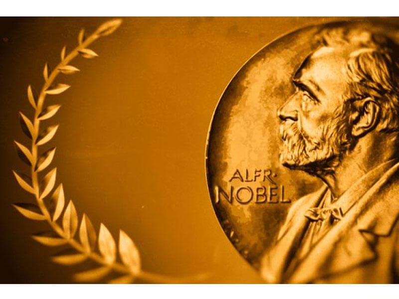Bu il Nobel Sülh Mükafatına 305 namizəd var