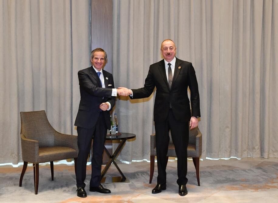 Prezident Atom Enerjisi üzrə Beynəlxalq Agentliyin Baş direktorunu qəbul edib