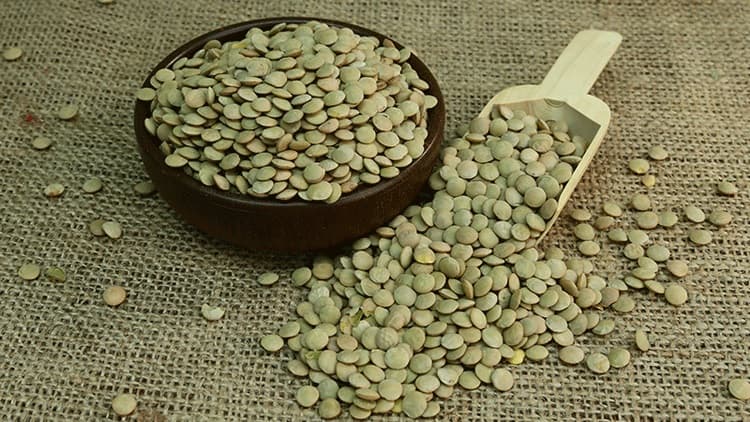 “Faydalı” marketdə YENİ KAMPANİYA - FOTO