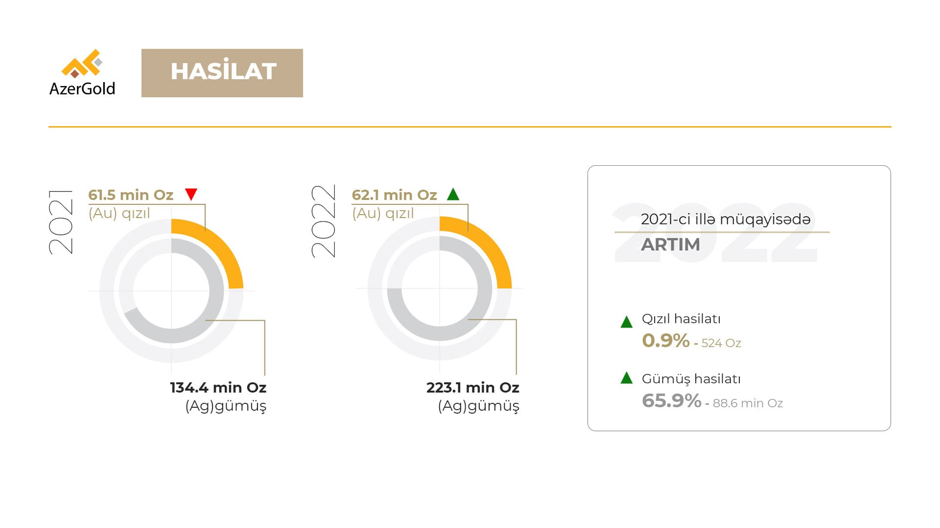 “AzerGold” QSC 2022-ci ildə hasilatı artırıb