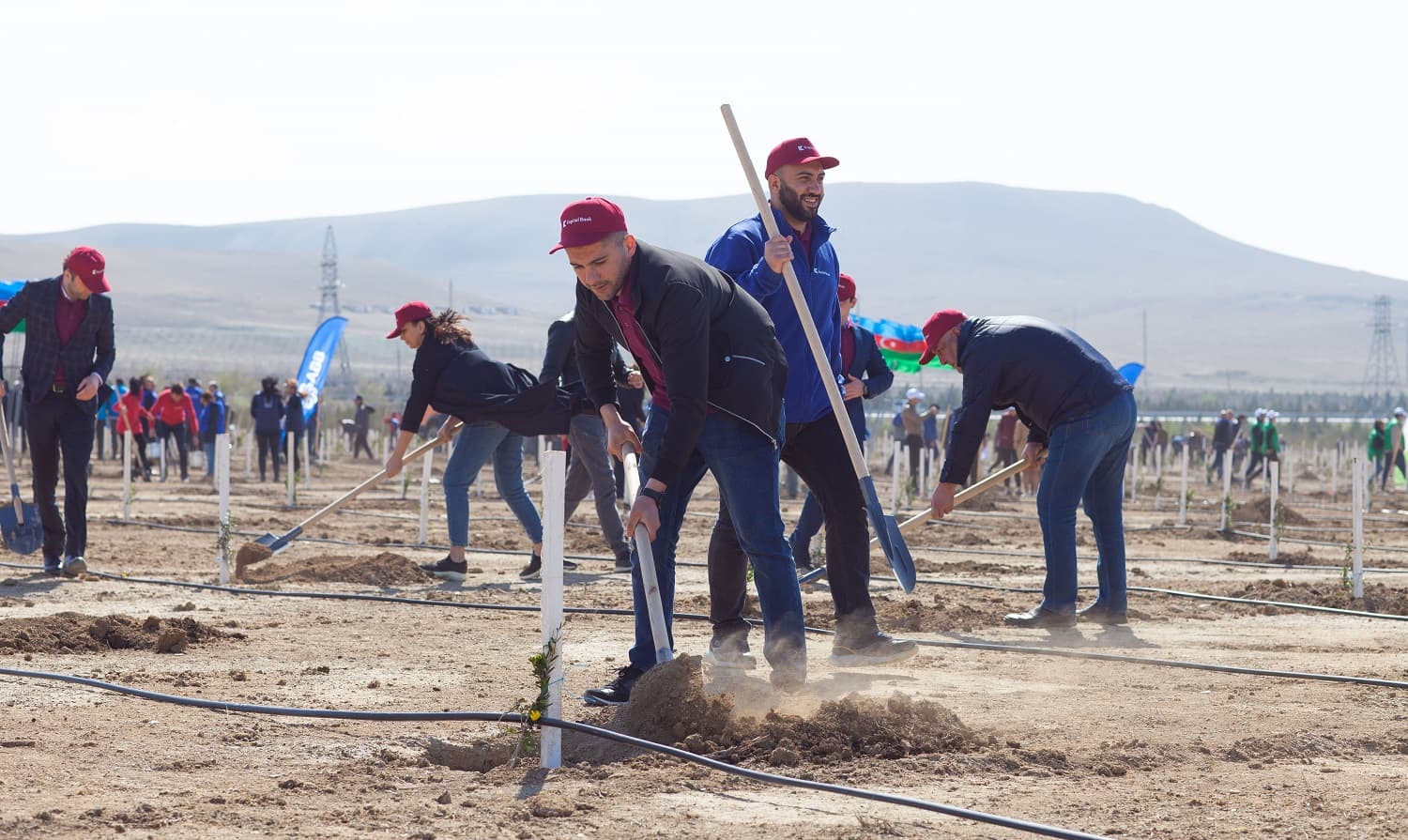 Kapital Bank əməkdaşları ağacəkmə aksiyasında iştirak etdi - FOTO