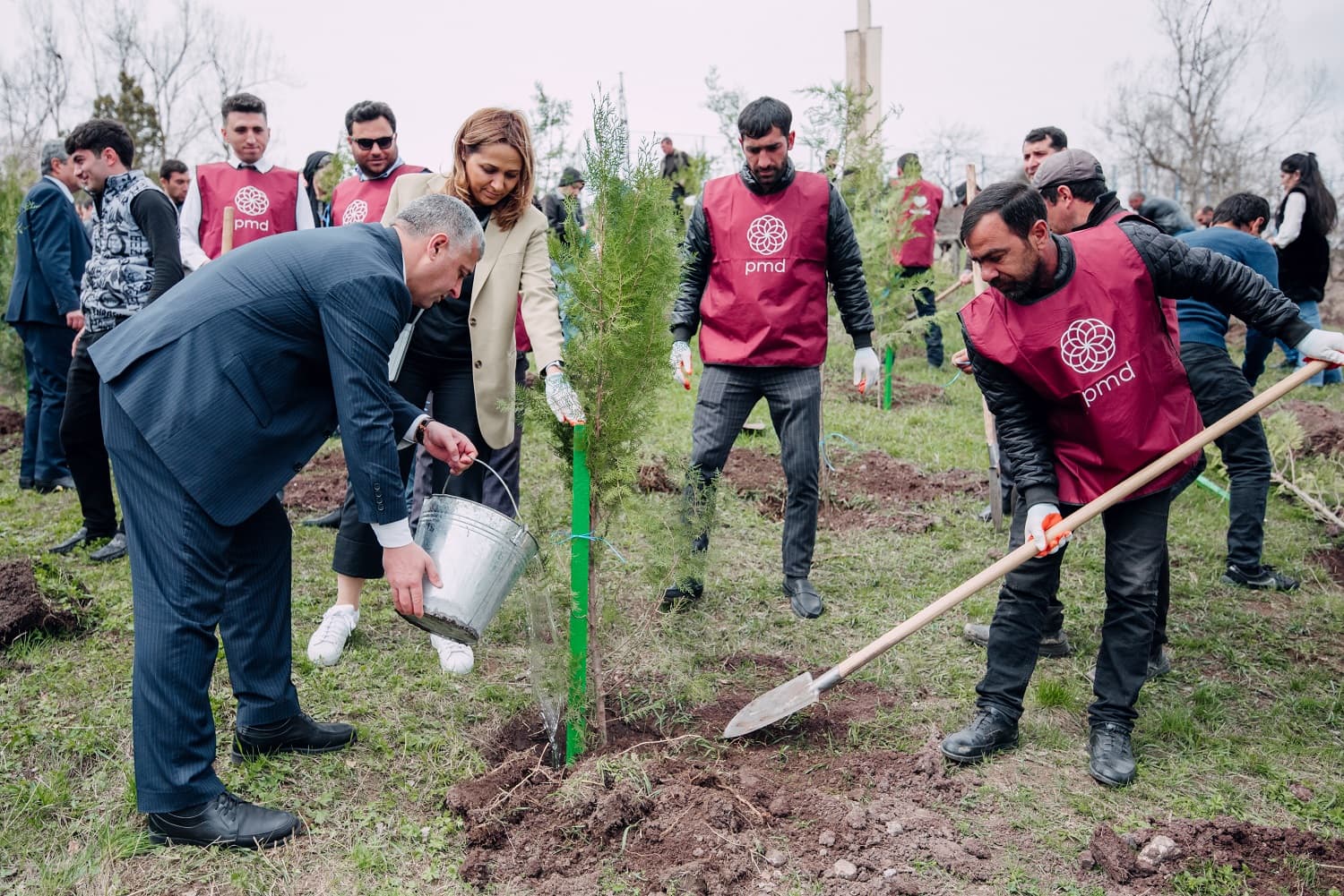 Növbəti 3 rayonda “Vətən Bağı” salındı - FOTO