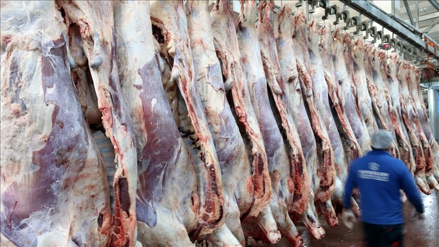 Türkiyədə qırmızı ət istehsalı 2 milyon tonu keçib