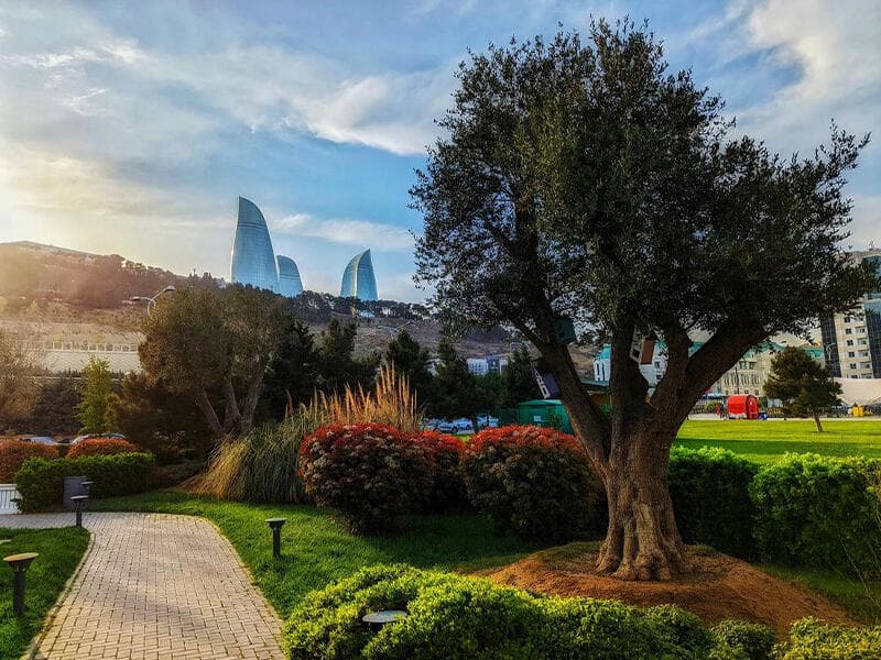 Sabahın hava PROQNOZU