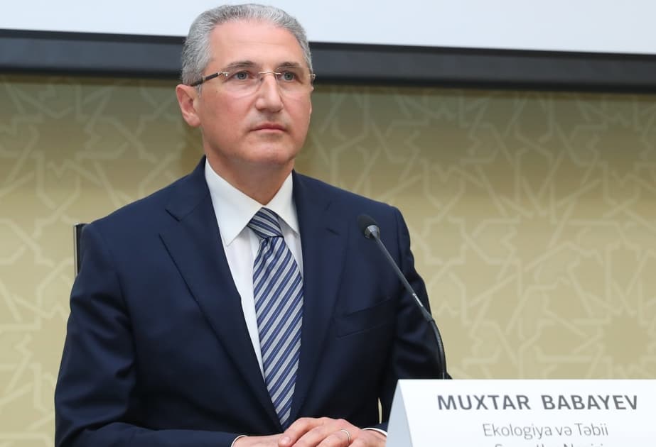 Azərbaycanda özəl sektor və investorlar tərəfindən yaşıl enerji və ətraf mühitlə bağlı layihələrin icrası nəzərdən keçirilməlidir