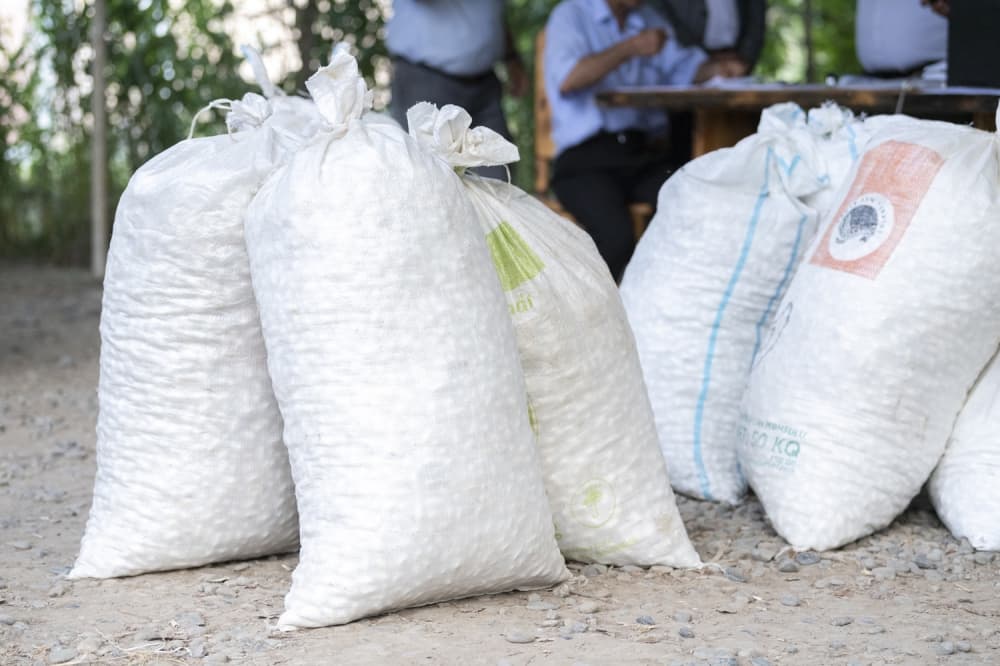 Yaş barama tədarükü davam edir - FOTO