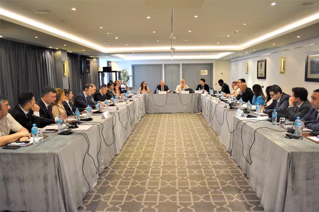 Hökümət qurumları üçün Miqrasiya İdarəçiliyi İndeksi üzrə məsləhətləşmələr təşkil edilib - FOTO