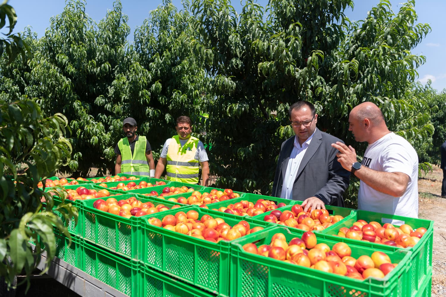 Nazir Məcnun Məmmədov Ağstafada təsərrüfatlara baş çəkib - FOTO