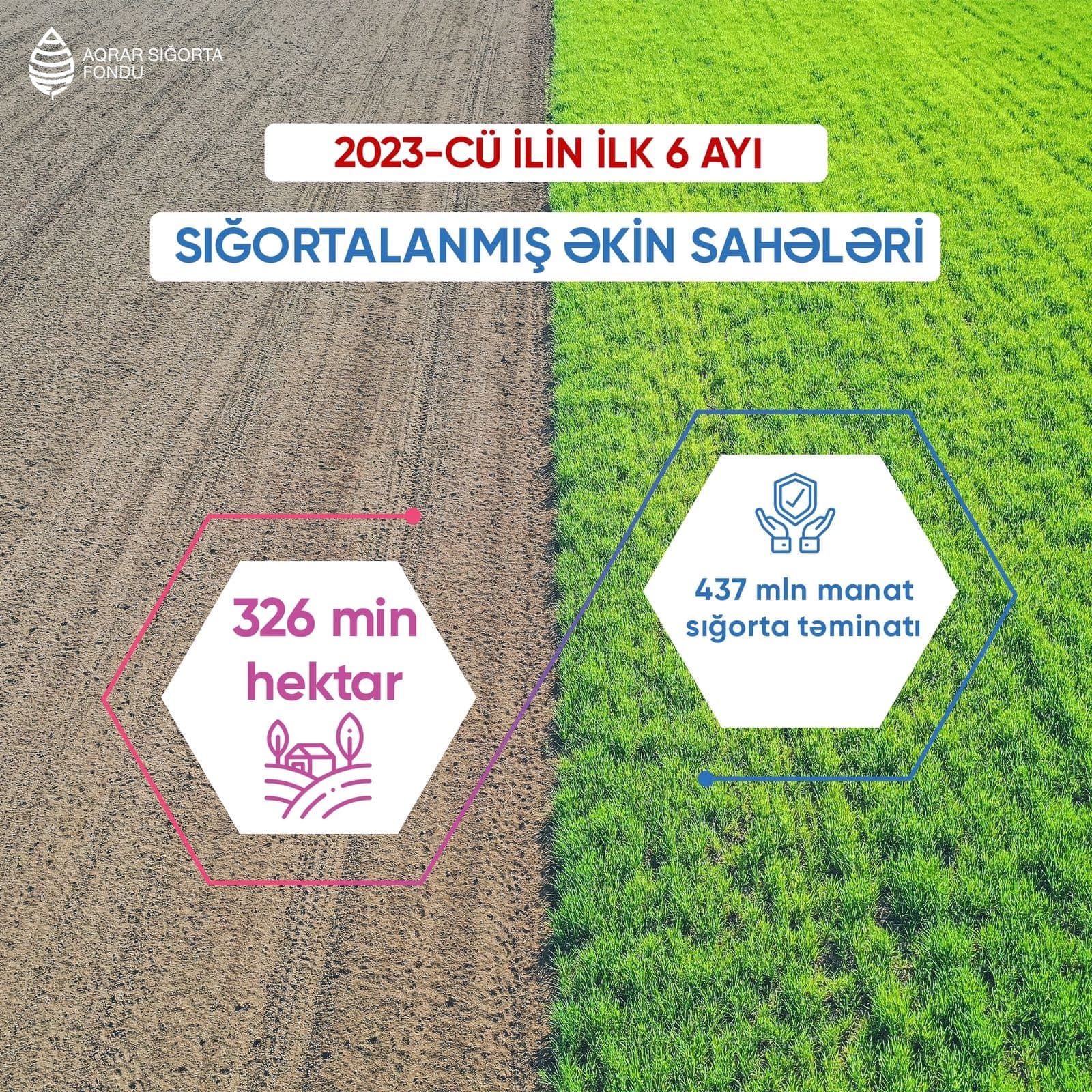 Aqrar Sığorta Fondu sığortalanan əkin sahələri və təsərrüfatları açıqlayıb