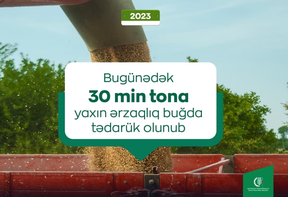 Bu günədək 30 min tona yaxın ərzaqlıq buğda tədarük olunub