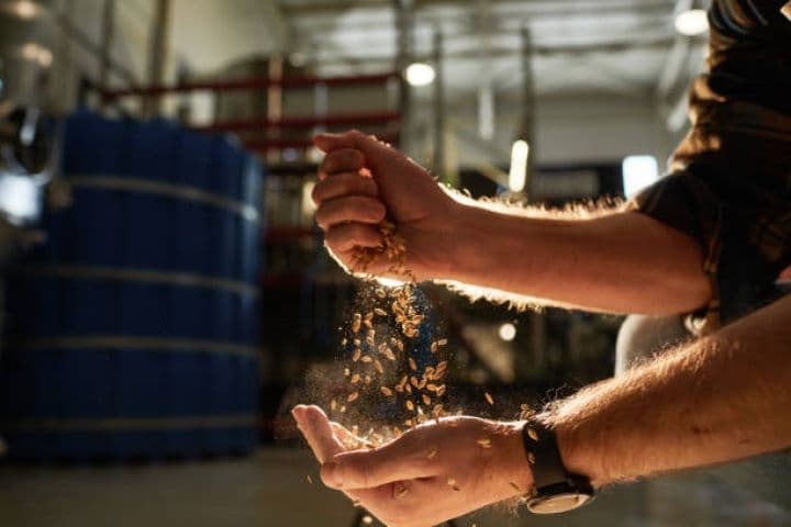 Pivəlik arpa emalı zavodu istehsalçıların xammala olan ehtiyacını tam ödəyəcək