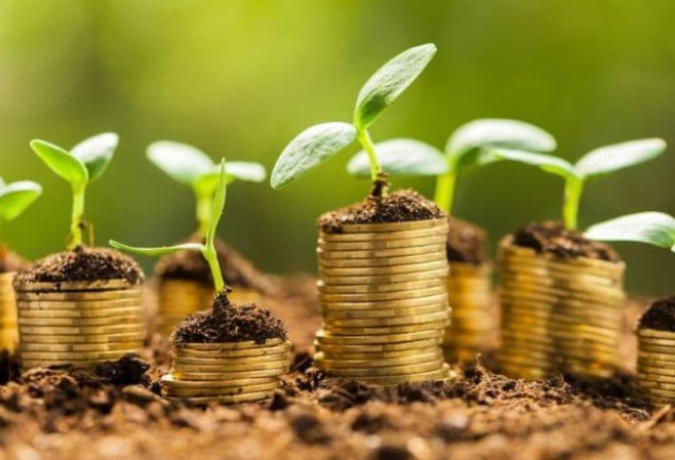 Azərbaycan BOKT-larının digər sektorlara kredit qoyuluşu 44% artıb