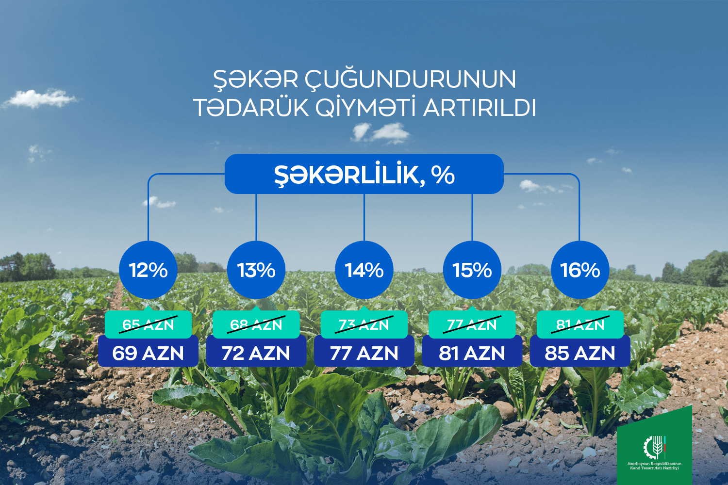 Şəkər çuğundurunun tədarük qiyməti artırılıb