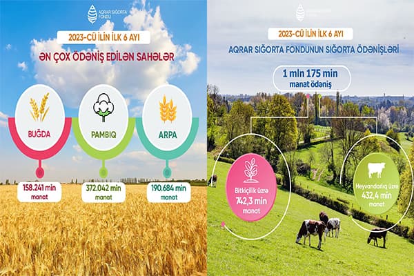 Aqrar sığorta hadisələri üzrə 1 milyon 175 min manat ödəniş həyata keçirilib