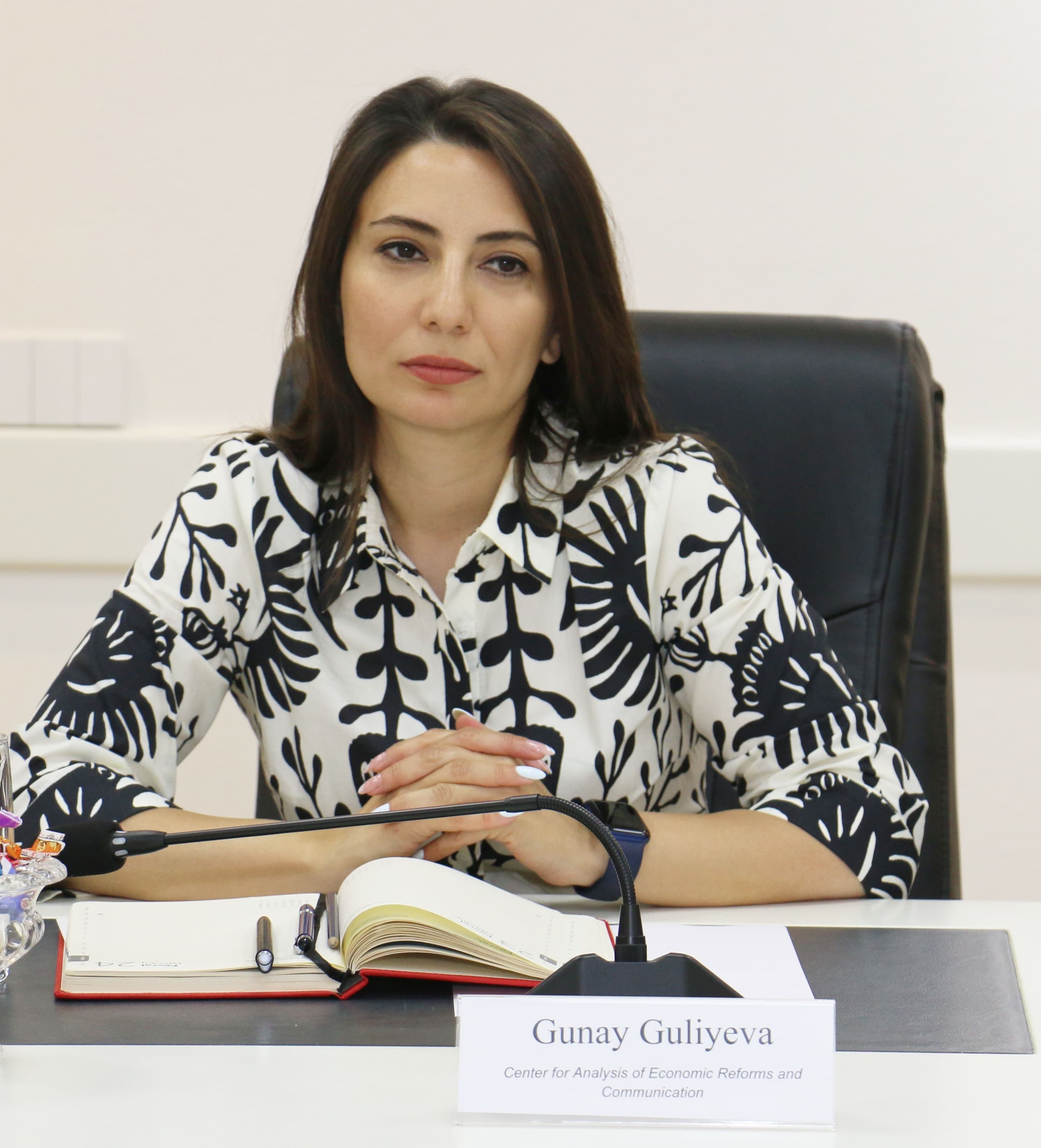Dövlət müəssisələrinə özəl investisiyaların cəlb edilməsi iqtisadi artımı dəstəkləyəcək - ŞƏRH