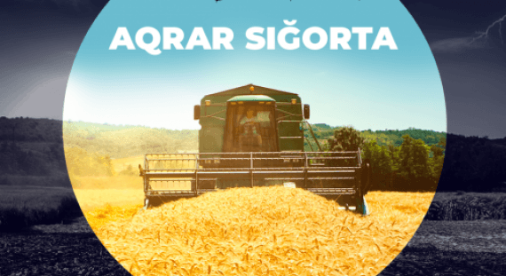 Aqrar Sığorta Müştərək Sığorta Şirkəti ödənişi 6,5 dəfə artıb
