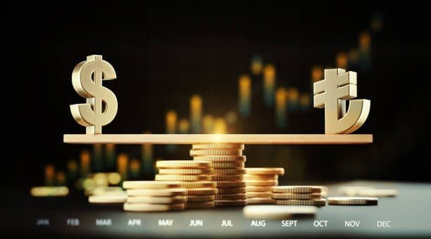 BofA-dan açıqlama: "1 dollar 30 TL ola bilər"
