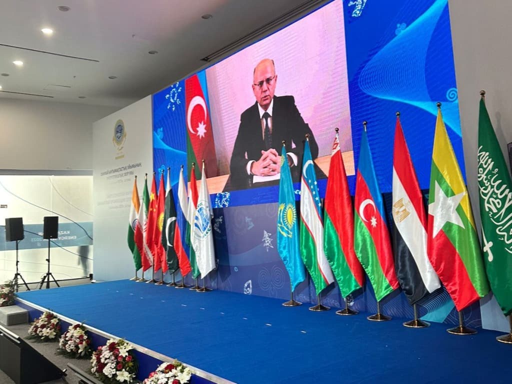 Energetika naziri Şanxay Əməkdaşlıq Təşkilatı ilə Azərbaycanın əməkdaşlığından danışıb