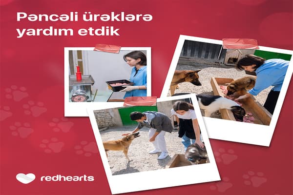 Qırmızı Ürəklər könüllüləri heyvan sığınacağına yardım edib