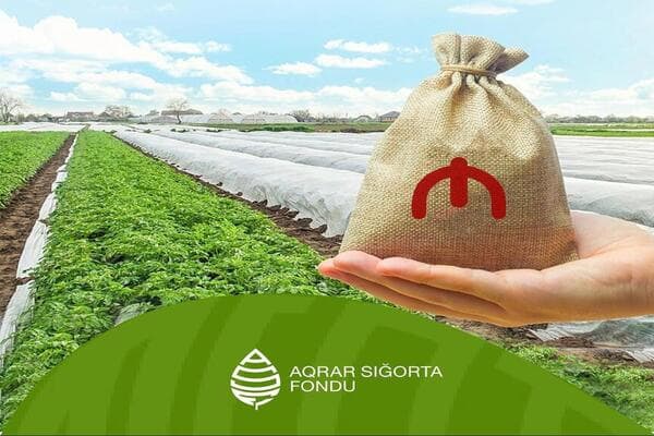 Aqrar Sığorta Fondu zərər ödənişlərinə başladı – RƏSMİ AÇIQLAMA