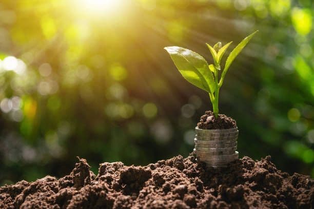Aqrar Sığorta Fondu 2023-cü il üzrə fermerlərə sığorta ödənişlərinə başlayıb