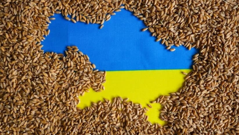 Slovakiya və Macarıstana Ukrayna taxıl yüklərinin həcmi əhəmiyyətli dərəcədə azalıb