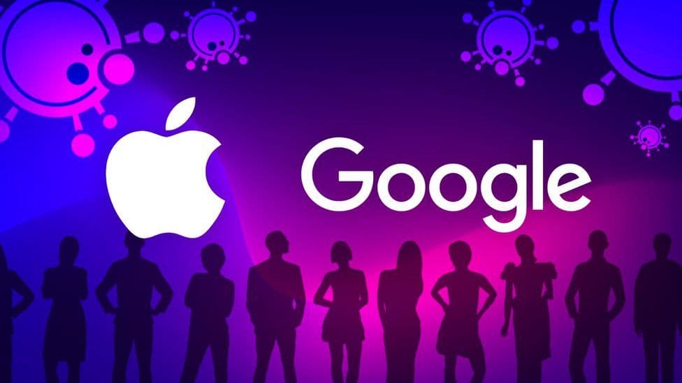 Apple Google-dan nə qədər gəlir əldə edir?