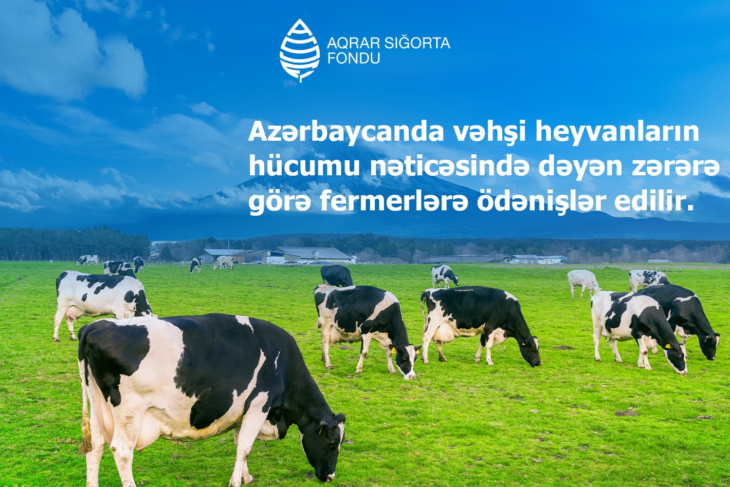 Vəhşi heyvanların hücumundan dəyən zərərlər üzrə fermerlərə ödənişlər başlanıb