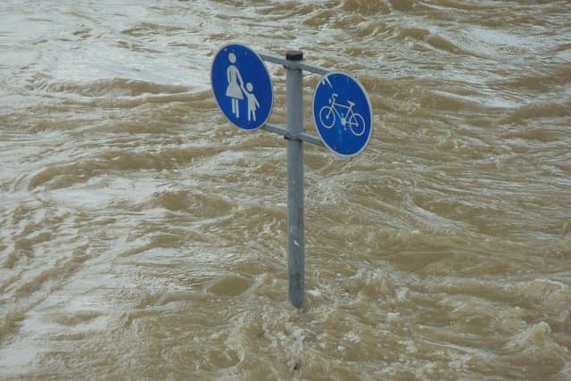 COP28 nədir? COP28 Proqramı