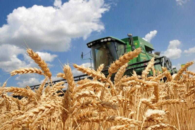 Argentina taxıl ixracatçılarının reyestrini müvəqqəti olaraq dayandırıb
