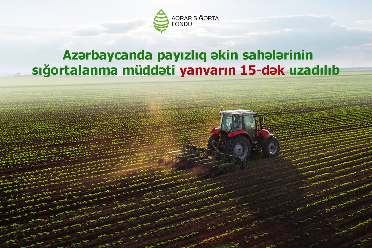 Azərbaycanda payızlıq əkin sahələrinin sığortalanma müddəti  yanvarın 15-dək uzadılıb