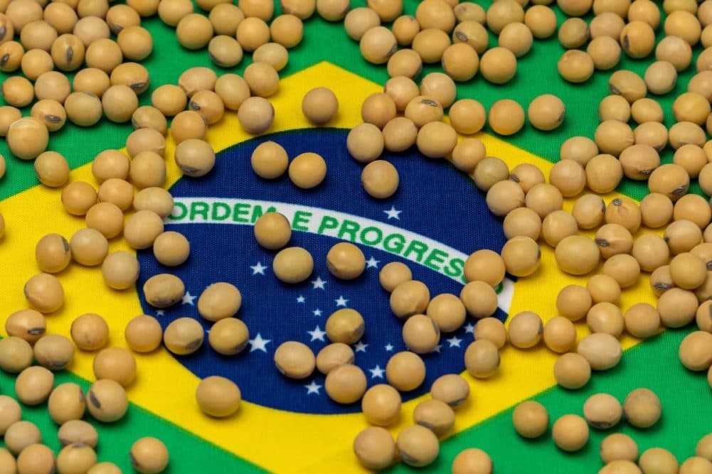 Analtiklər Braziliyada soya və qarğıdalı məhsulu ilə bağlı proqnozlarını azaldıblar