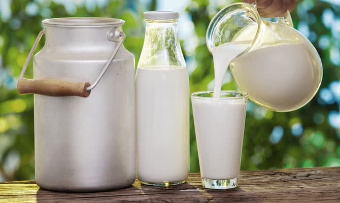 Qazaxıstanda 8 milyard tengelik yeni süd ferması