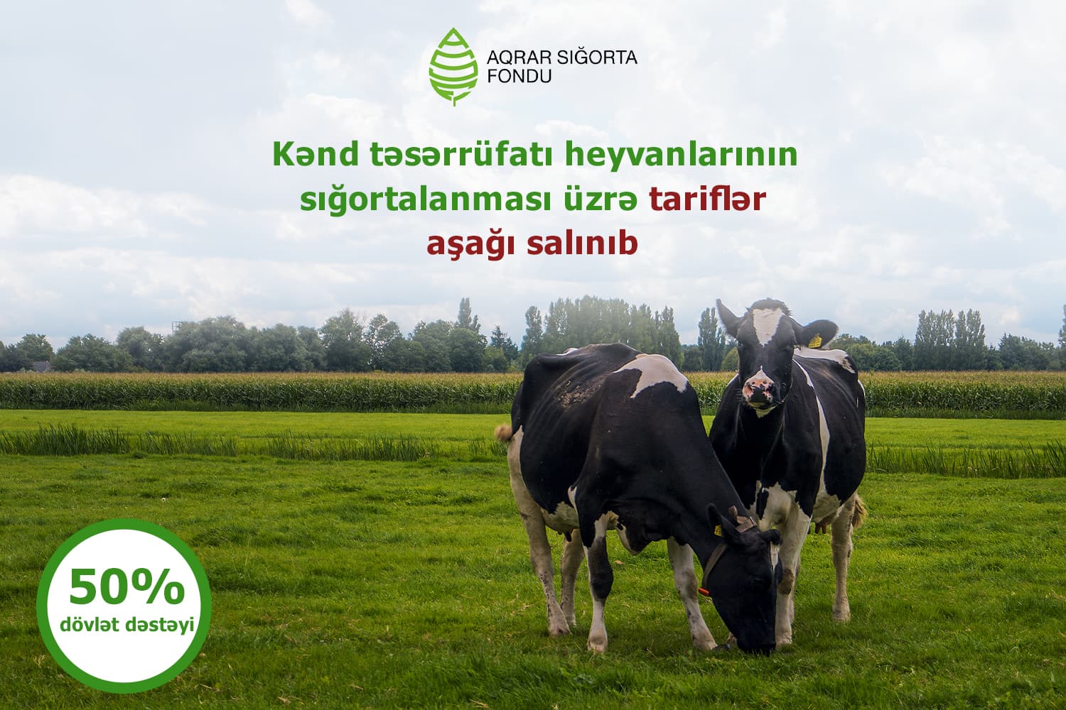 Kənd təsərrüfatı heyvanlarının sığortalanması üzrə tariflər endirilib