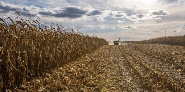 Ukraynada torpaq satışının həcmi demək olar ki, 60% artıb