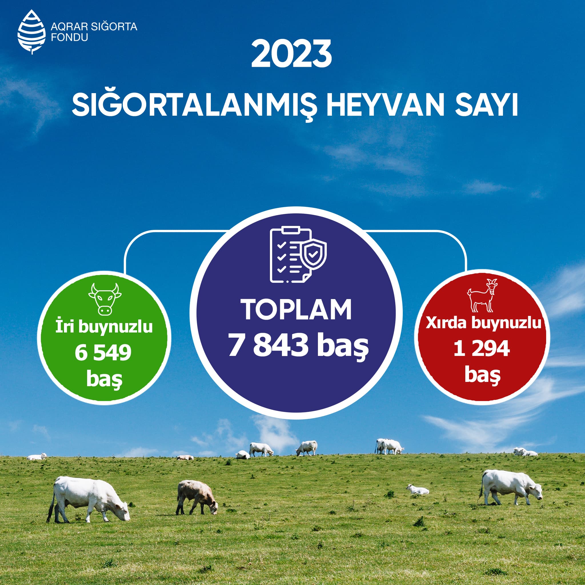 Azərbaycanda aqrar sığortadan faydalanan fermerlərin sayı artır