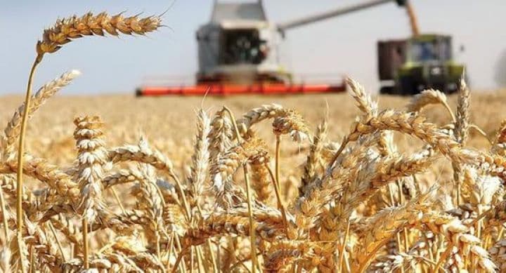 Qazaxıstan İrana taxıl ixracını bərpa etməyə razılaşıb