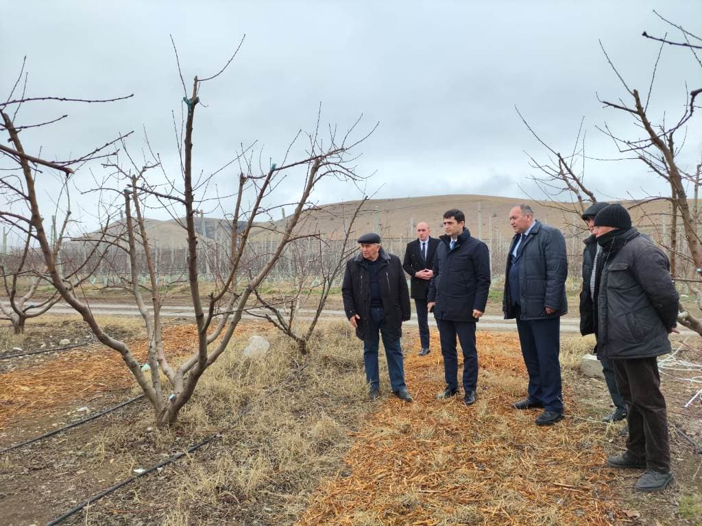 Aqrar Sığorta Fondunun sədri Fuad Sadıqov Şəkidə vətəndaşları qəbul edib və fermerlərlə görüşüb