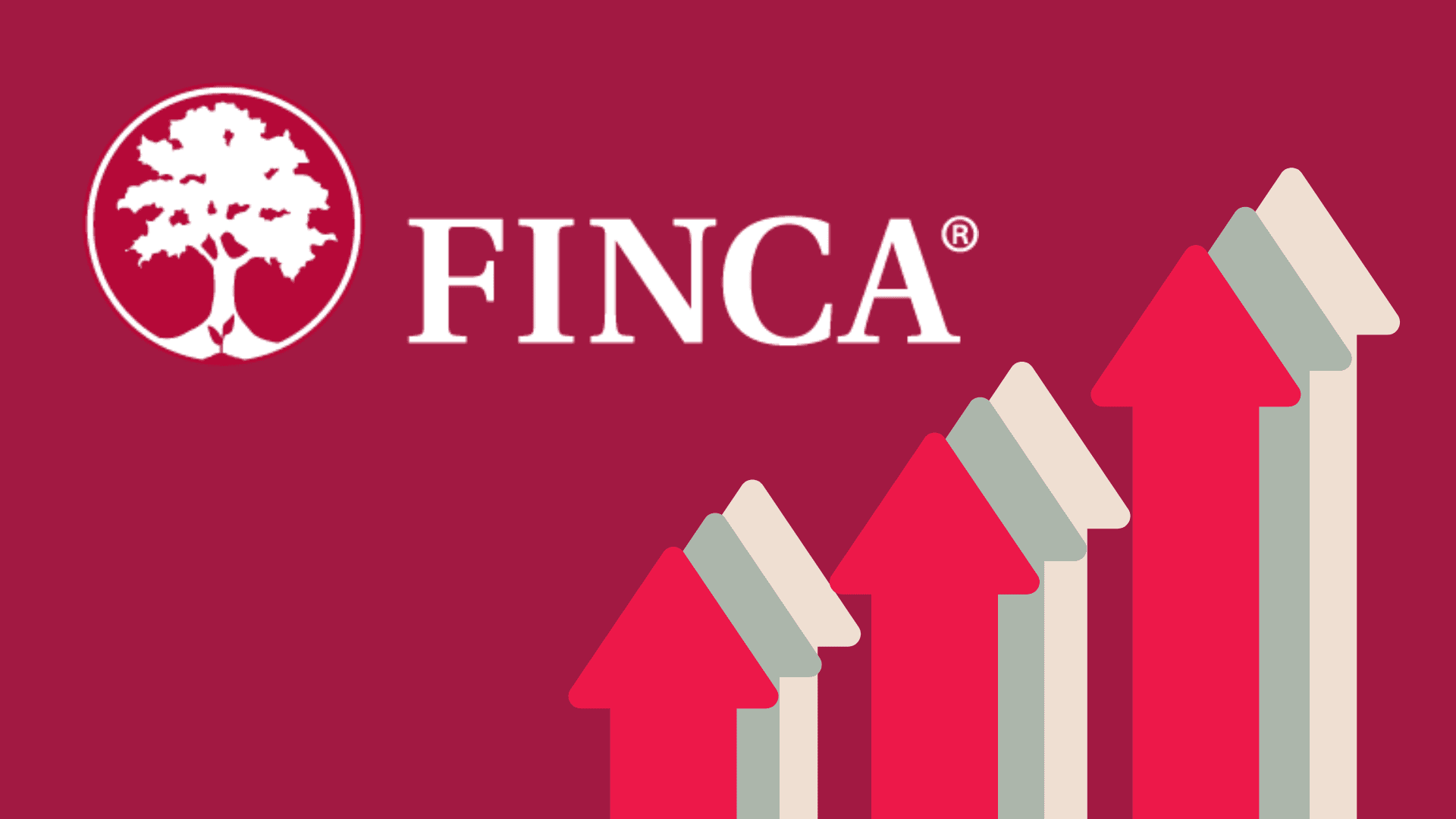 “FINCA Azerbaijan” 2023-cü il nəticələrinə əsasən artım nümayiş etdirib