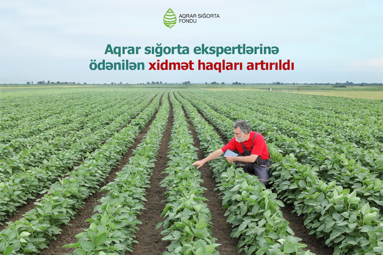 Aqrar sığorta ekspertlərinə ödənilən xidmət haqları artırılıb
