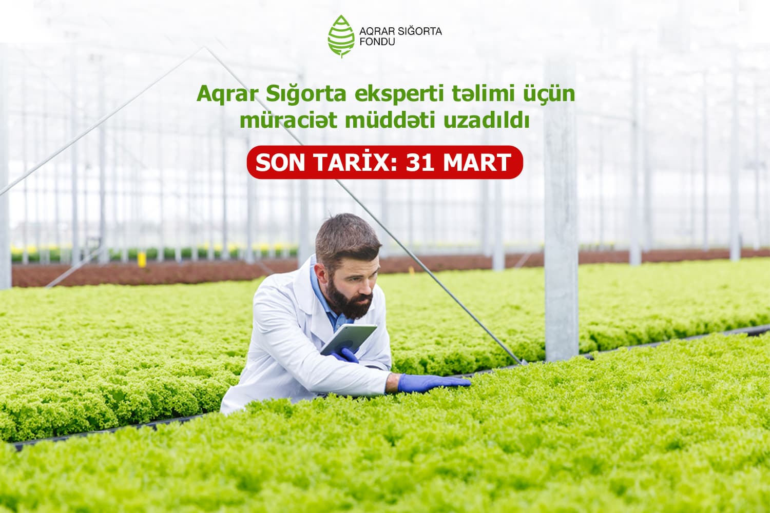 Aqrar Sığorta eksperti təlimi üçün müraciət müddəti uzadıldı – YENİ TARİXLƏR